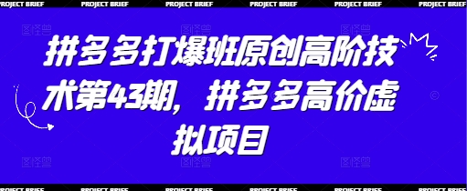 拼多多打爆班原创高阶技术第43期,拼多多高价虚拟项目-资源站