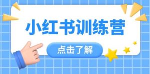 小红书训练营,助小白入门,掌握技巧变达人,课程实操又全面(12节课)-资源站