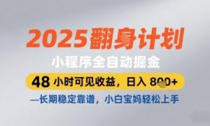 2025小程序全自动掘金,48 小时可见收益,日入8张,长期稳定靠谱,小白宝妈轻松上手【揭秘】-资源站