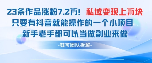 抖音私域项目23条作品涨粉7.2W，私域变现1W-资源站