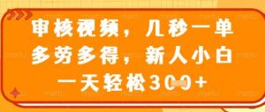 视频审核员,几秒一单,不限时间,不限地点,多做多得,新人小白一天轻松几张+【揭秘】-资源站
