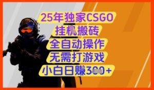 25年独家CSGO挂G搬砖，全自动操作，无需打游戏，小白日入3张+【揭秘】-资源站