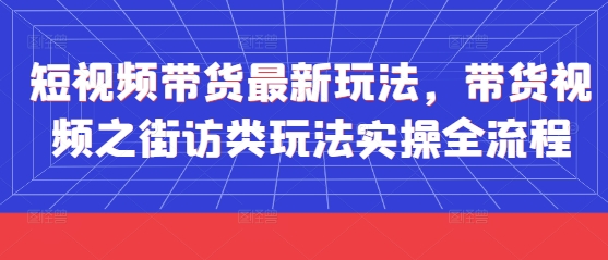 短视频带货最新玩法，带货视频之街访类玩法实操全流程-资源站