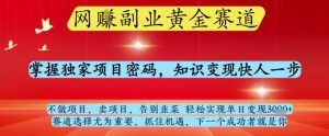 网创副业黄全赛道，掌握独家项目密码，知识变现快人一步，告别韭菜轻松实现单日变现1k+【揭秘】-资源站