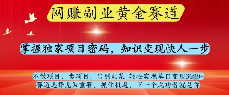 网创副业黄全赛道，掌握独家项目密码，知识变现快人一步，告别韭菜轻松实现单日变现1k+【揭秘】-资源站