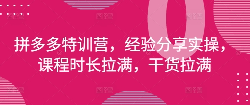 拼多多特训营,经验分享实操,课程时长拉满,干货拉满(更新25年4月)-资源站