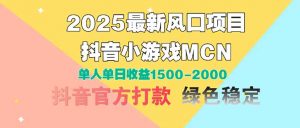 2025最新风口项目 抖音小游戏MCN 单人单日收益1500-2000+-资源站