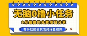 0学费0风险，2025风口项目，无脑免费撸，代发纯绿色视频，一部手机人人可做【揭秘】-资源站