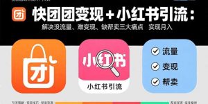 快团团变现+小红书引流:解决没流量、难变现、缺帮卖三大痛点 实现月入3w+-资源站