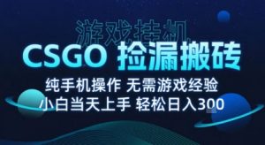 8月最新游戏搬砖，CSGO纯挂G，不需要玩游戏，实现真挂G，月入1W+【揭秘】-资源站