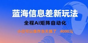 蓝海信息差新玩法，全程AI矩阵自动化小白可以操作当天搞了1k+-资源站