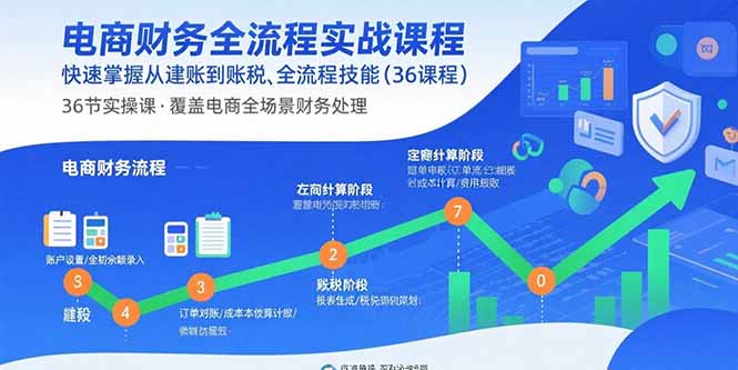 电商财务全流程实战课程：快速掌握从建账到报税的全流程技能(36节课-资源站