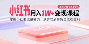 小红书月入1W+变现课程：掌握小红书流量密码，从养号到带货全流程盈利-资源站