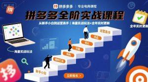 拼多多全阶实战课程，从新手小白到运营高手，海量实战玩法+全年实时更新【2025年9月更新】-资源站