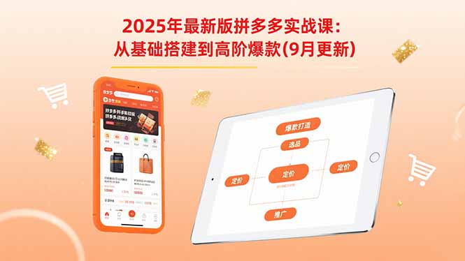 2025年最新版拼多多实战课：从基础搭建到高阶爆款(9月更新-资源站