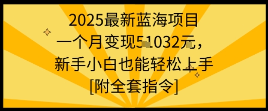 2025最新蓝海项目一个月变现1w+新手小白也能轻松上手【附全套指令】-资源站