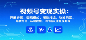 视频号变现实操，含开通步骤、变现模式、爆款打造、私域积累、IP打造及流量提升等-资源站