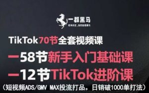 TikTok全套视频课,新手入门+进阶课,短视频ADS-GMV MAX投流打品,日销破1000单打法-资源站