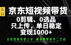你出账号，我来运营，保底日入1k+，开启躺賺模式【揭秘】-资源站