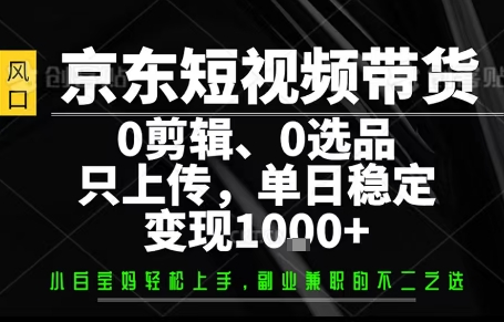 你出账号，我来运营，保底日入1k+，开启躺賺模式【揭秘】-资源站