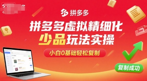 拼多多虚拟精细化少品玩法实操，小白0基础轻松复制-资源站