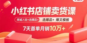 小红书店铺卖货课:商城入驻+选爆品+爆文模板,7天首单月销10万+-资源站