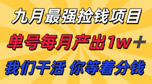 九月最强捡钱项目! 支付宝分成代运营,我们干活,你分钱!单号月产1w+-资源站