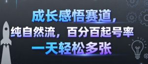 成长感悟赛道，纯自然流，百分百起号率 一天轻松多张-资源站