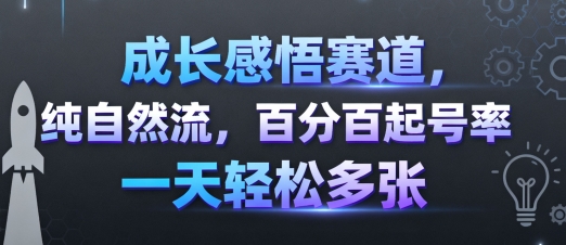 成长感悟赛道，纯自然流，百分百起号率 一天轻松多张-资源站
