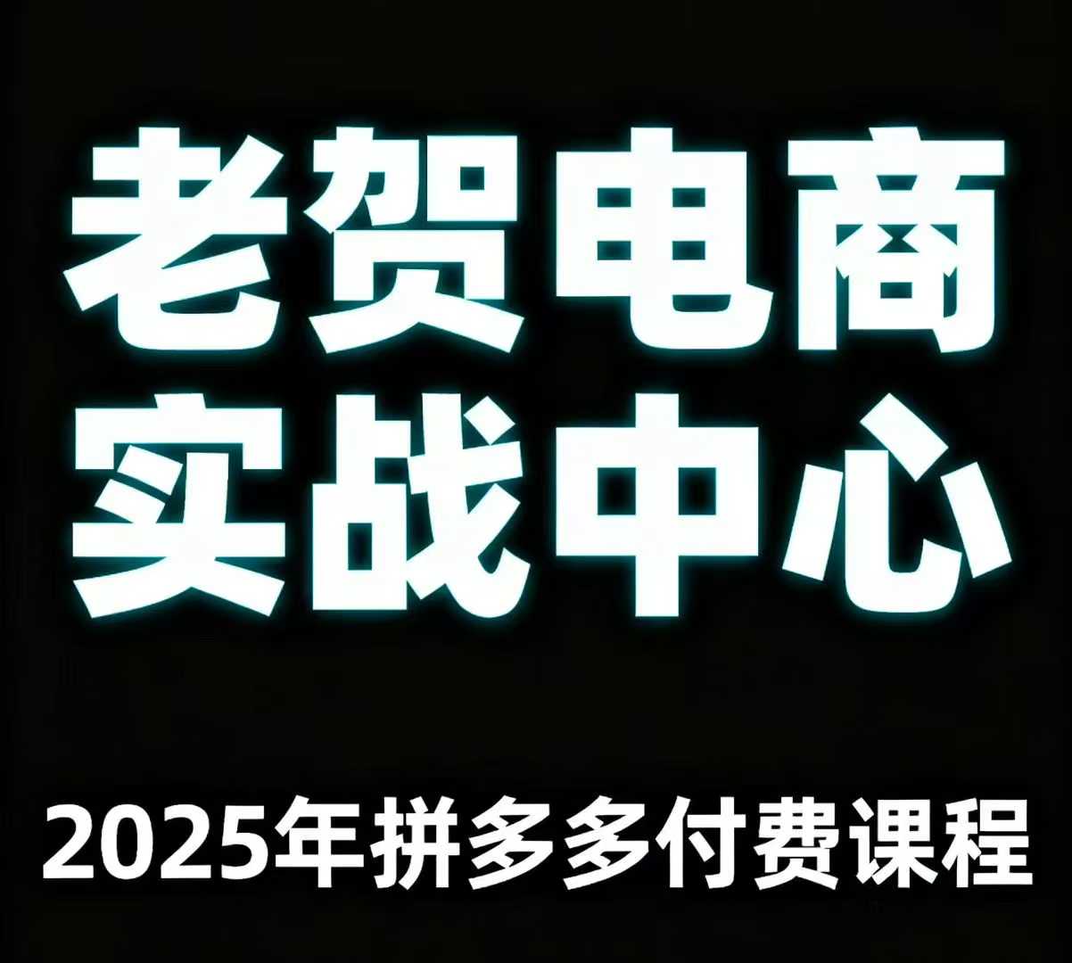 老贺电商2025年拼多多付费课程，用通俗易懂的方法告诉你多多怎么玩-资源站