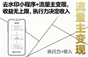去水印小程序+流量主变现，收益无上限，执行力决定收入-资源站