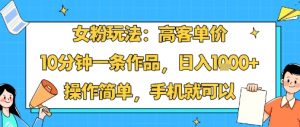 女粉玩法：高客单价，10分钟一条作品，日入1k+操作简单，手机就可以-资源站