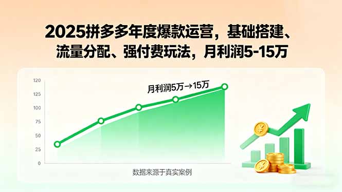 2025拼多多年度爆款运营,基础搭建、流量分配、强付费玩法,月利润5-15万-资源站