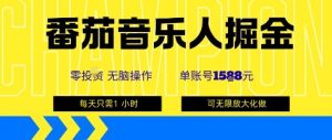 番茄音乐人掘金，单账号最高可撸1k+，可无限矩阵去做，零投入-资源站