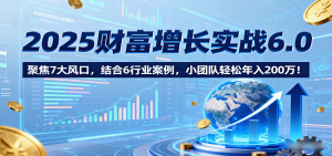 2025财富增长实战6.0，聚焦7大风口，结合6行业案例，小团队轻松年入200万！-资源站