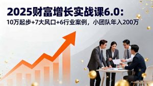 2025财富增长实战课6.0:10万起步+7大风口+6行业案例,小团队年入200万-资源站