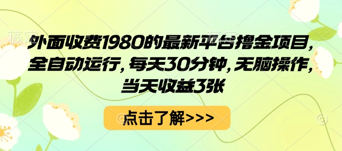 外面收费1980的最新平台撸金项目，全自动运行，每天30分钟，无脑操作，当天收益3张【揭秘】-资源站