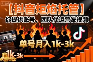 【抖音炬焰托管】你提供账号,团队代运营发视频,单号月入1k+【揭秘】-资源站