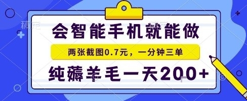 手机项目，二十秒一单，纯薅羊毛一天2张+做就有【揭秘】-资源站