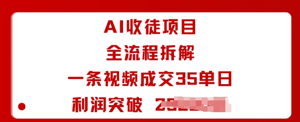 AI收徒项目全流程拆解一条视频成交35单日利润突破1k+-资源站