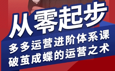 拼多多运营进阶系统课,从零起步,多多运营进阶体系课,破茧成蝶的运营之术(更新9月)-资源站