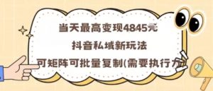 当天最高变现1k+,抖音私域新玩法,可矩阵可批量复制-资源站