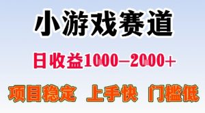 最新小游戏赛道，日收益1k-2k+，项目稳定上手快门槛低，在家就可以自己创业【揭秘】-资源站