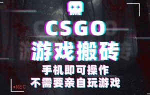 CSGO游戏挂机捡漏，单日扫货500+，年底小高峰上车可吃肉，手机即可操作…-资源站