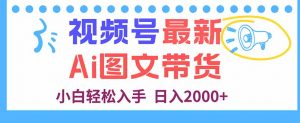 视频号最新AI图文带货,每天几分钟,小白轻松入手,日入2000+-资源站