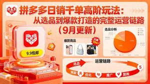 拼多多日销千单高阶玩法:从选品到爆款打造的完整运营链路(9月更新-资源站