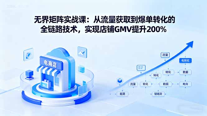 无界矩阵实战课:从流量获取到爆单转化的全链路技术,实现店铺GMV提升200%-资源站
