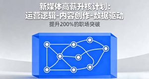 新媒体高薪升核计划:运营逻辑-内容创作-数据驱动,提升200%的职场突破-资源站