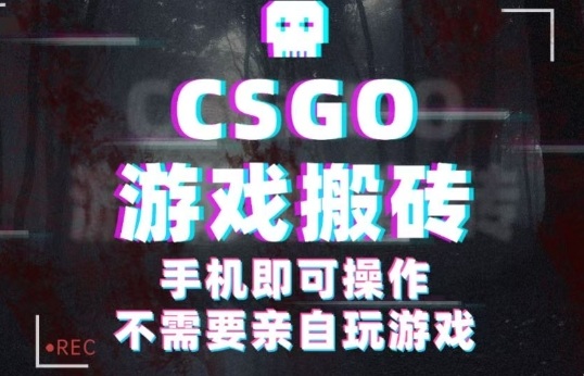 CSGO游戏挂G捡漏,单日扫货5张+,年底小高峰上车可吃肉,手机即可操作,兼职副业创业网创【揭秘】-资源站