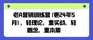 老A营销训练营(更25年10月),轻理论,重实战,轻概念,重本质-资源站